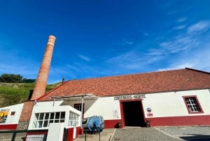 Madeira: Cliff Hanger Vereda Larano Hike Machico