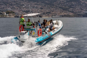 マデイラ島：RIBボートで行く沿岸観光ツアー