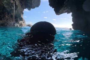 Madeira: Coasteering Adventure with Snorkeling, w/pick-up