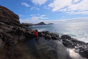 Madeira: Coasteering Adventure with Snorkeling, w/pick-up