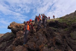 Madeira: Coasteering Adventure with Snorkeling, w/pick-up