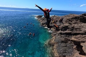 Madeira: Coasteering-tur