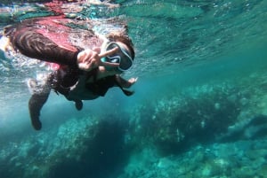 Madeira: Coasteering-tur