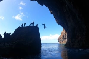 Madeira: Coasteering-tur