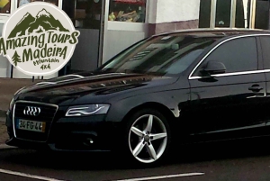 Мадейра: комфортабельный частный тур с видом и местным гидом (до 4 человек)