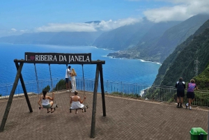 Мадейра: комфортабельный частный тур с видом и местным гидом (до 4 человек)