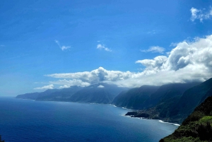 Мадейра: комфортабельный частный тур с видом и местным гидом (до 4 человек)