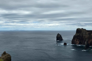Мадейра: комфортабельный частный тур с видом и местным гидом (до 4 человек)