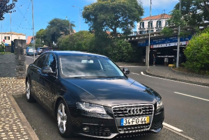 Мадейра: комфортабельный частный тур с видом и местным гидом (до 4 человек)