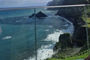 Мадейра: комфортабельный частный тур с видом и местным гидом (до 4 человек)