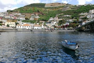 Madeira: Customized 3, 4 or 6-Hour Tour