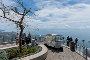 Madeira: Customized 3, 4 or 6-Hour Tour