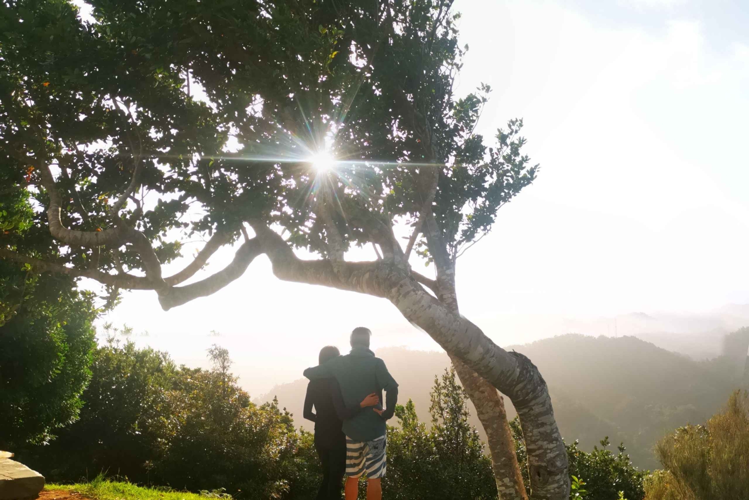 Avventura in E-Buggy a Madeira: Emozione 4x4 e panorami epici! Prenota ora