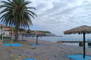 Östra och södra Madeira: Privat tur i Mercedes – Utsiktsplatser och typiska platser