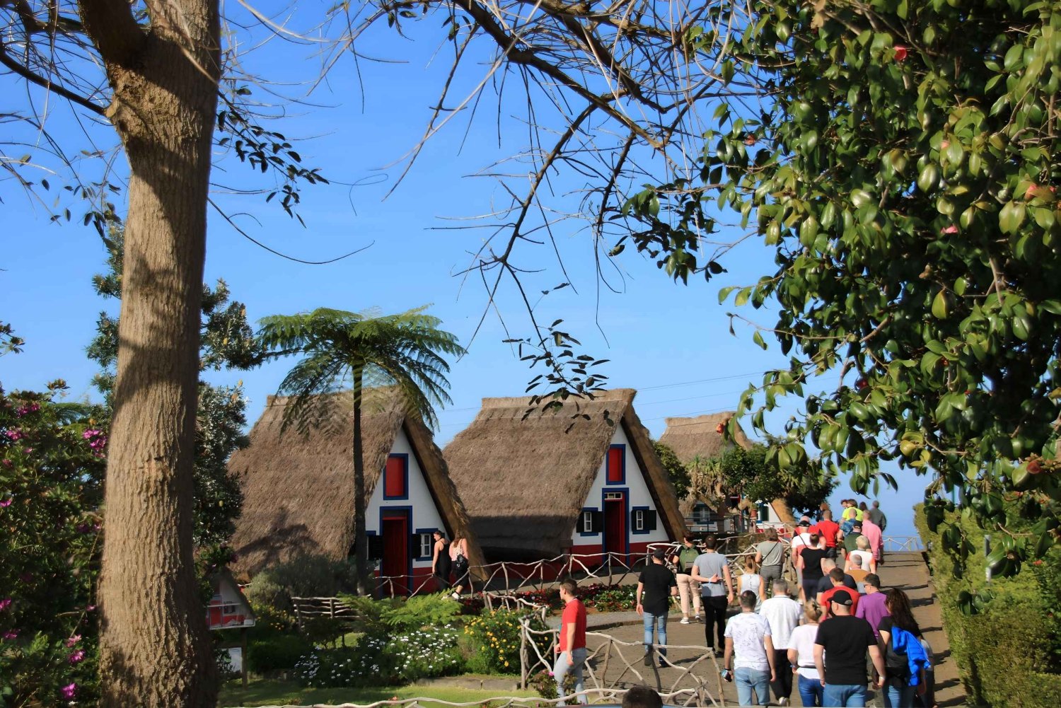 Madera: podróż kabrioletem po wschodnim wybrzeżu