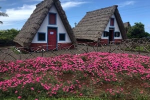 Madeiras östkustparadis med Santana-linbanan
