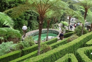 Madeira East Island Tour and Levada Walk