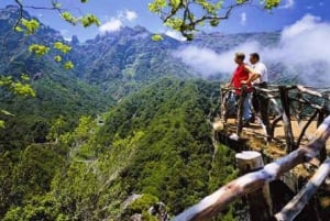 Madeira East Island Tour and Levada Walk