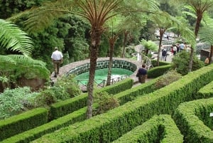 Excursão pela ilha oriental da Madeira e caminhada pela levada