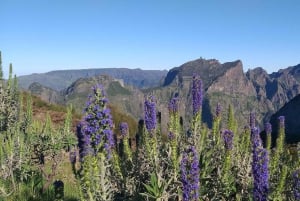 Excursão pela ilha oriental da Madeira e caminhada pela levada