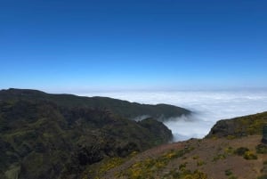 Madeira: East Island Tour with Rum Tasting