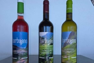 Madeira: East Island Tour with Rum Tasting