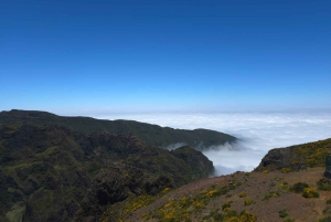 Madeira: East Island Tour with Rum Tasting