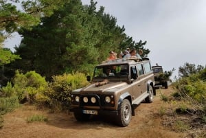 Madeira East or West Private Half-Day Tour by Open-Top Jeep