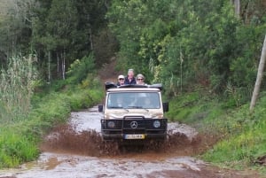 Madeira East or West Private Half-Day Tour by Open-Top Jeep