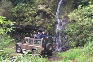 Madeira East or West Private Half-Day Tour by Open-Top Jeep