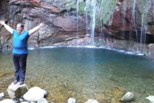 Madeira Øst eller Vest Privat halvdagstur i åben jeep