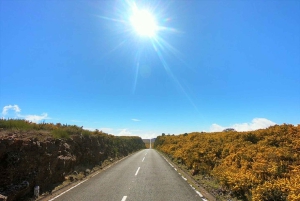 Madeira Øst eller Vest Privat halvdagstur i åben jeep