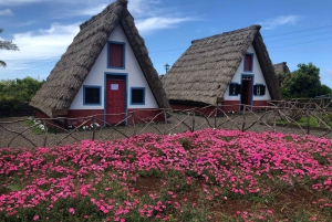 Madeira: East Coast, Sao Lourenço & Local farmers' market