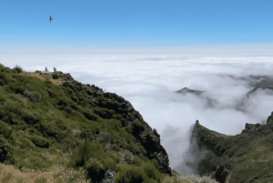 Pico do Arieiro, Santana & more – Full Day Madeira East Tour