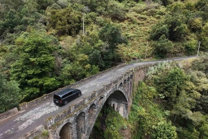 Pico do Arieiro, Santana & more – Full Day Madeira East Tour