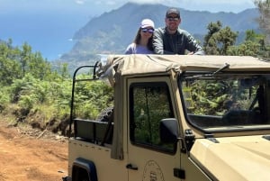 Madeira: Small group East tour ( Pico Arieiro , Santana)