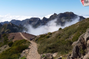 Madeira : East Tour - Santana North Side