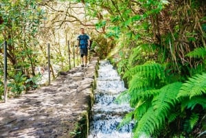 Madeira: Enjoy a Guided Levada Walk in the Rabaçal Valley