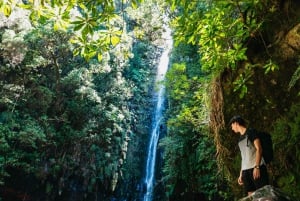 Madeira: Enjoy a Guided Levada Walk in the Rabaçal Valley