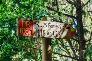 Madeira: Enjoy a Guided Levada Walk in the Rabaçal Valley