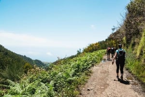 Madeira: Enjoy a Guided Levada Walk in the Rabaçal Valley