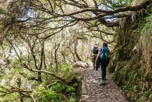 Madeira: Enjoy a Guided Levada Walk in the Rabaçal Valley