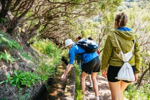 Madeira: Enjoy a Guided Levada Walk in the Rabaçal Valley