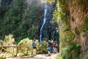 Madeira: Enjoy a Guided Levada Walk in the Rabaçal Valley