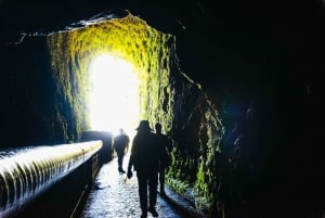 Madeira: Enjoy a Guided Levada Walk in the Rabaçal Valley