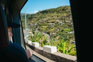 Madeira: Enjoy a Guided Levada Walk in the Rabaçal Valley