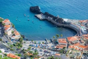 Funchal: 3-Hour Madeira Cruise with Sweets & Wine Tasting