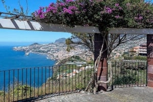 Funchal: 3-Hour Madeira Cruise with Sweets & Wine Tasting