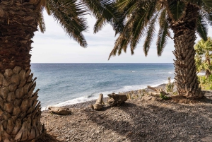 Madeira: Excursión Privada Faja dos Padres