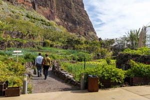 Madeira: Excursión Privada Faja dos Padres